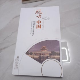 魅力中国，中国非物质文化遗产，DVD 10片装