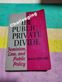 challenging the public private divide