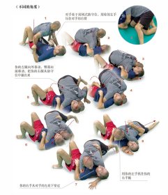 巴西柔术技术图解