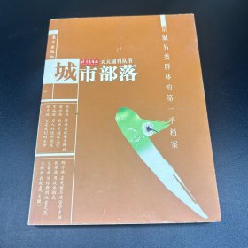 城市部落:京城另类群体的第一手档案