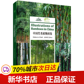 中国竹类植物图鉴（英文版）