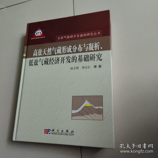 高效天然气形成分布与凝析、低效气藏经济开发的基础研究