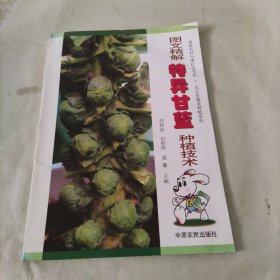 图文精解特异甘蓝种植技术