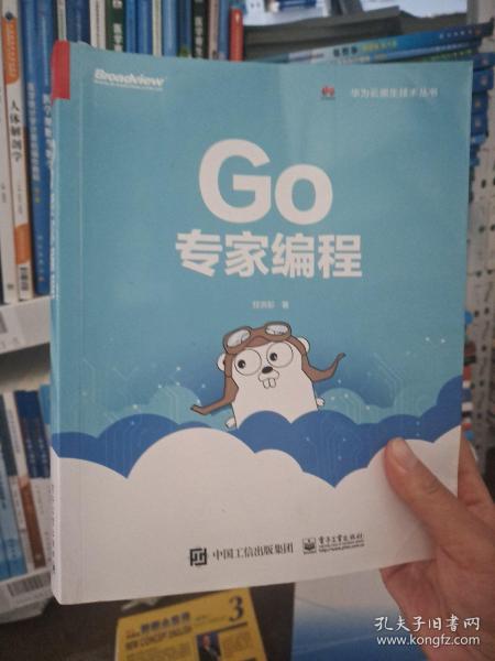 Go专家编程(博文视点出品)