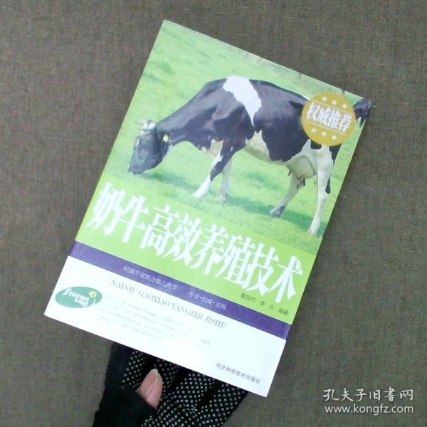 奶牛高效养殖技术