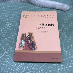 巴黎圣母院 名家名译世界经典文学名著 原汁源味读原著