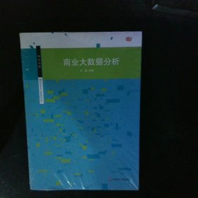 商业分析丛书商业大数据分析 【以图为准】