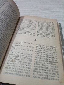 外国神话辞典