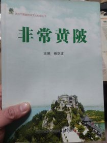 旧书《非常黄陂》一册