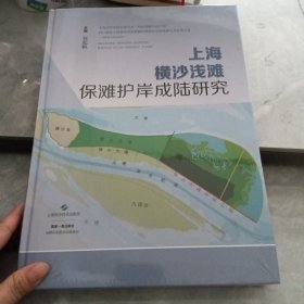 上海横沙浅滩保滩护岸成陆研究