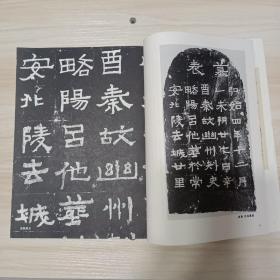 《书法丛刊》杂志，西安碑林藏精品墓志:后秦吕他墓表（有评述）、北魏赵超宗墓志、张宜墓志、杨舒墓志、赵超宗妻王氏墓志、北周独孤浑贞墓志、佛立像及题记（都是全拓）、隋解方保墓志（原大全，有解读）、唐阿史那婆罗门墓志、史怀训墓志、唐安公主墓志、王求古墓志、柳公权书迴元观钟楼，文征明行书新燕篇（全），