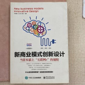 新商业模式创新设计：当资本插上“互联网+”的翅膀