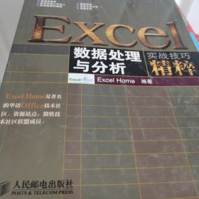 Excel数据处理与分析实战技巧精粹