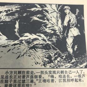 贝壳湾擒黑鳗 连环画 1977年一印九品Gk区