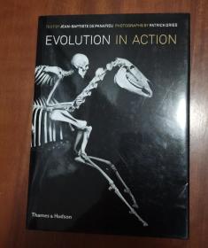 Evolution in Action：Natural History through Spectacular Skeletons