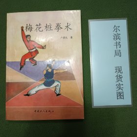 梅花桩拳术