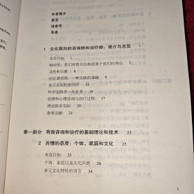 心理咨询与治疗理论 多元文化视角（第5版）