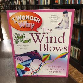 I Wonder Why the Wind Blows