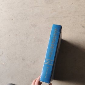 新型锅壳锅炉原理与设计