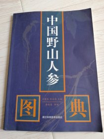 中国野山人参图典