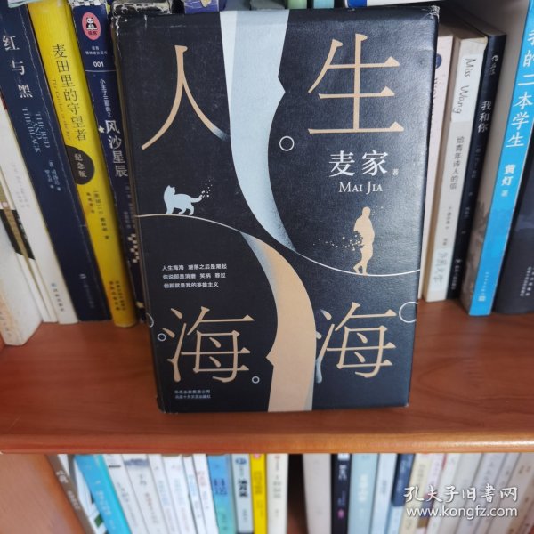 麦家：人生海海（茅盾文学奖得主麦家2019年强力之作）