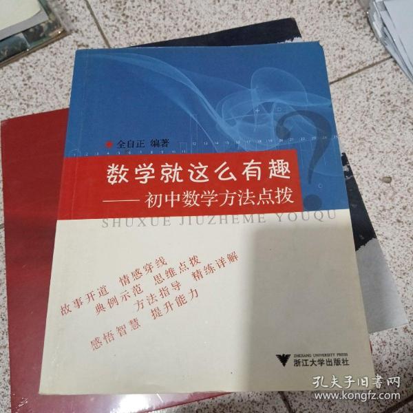 数学就这么有趣：初中数学方法点拨