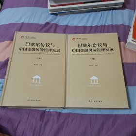 巴塞尔协议与中国金融风险管理发展（上下卷）