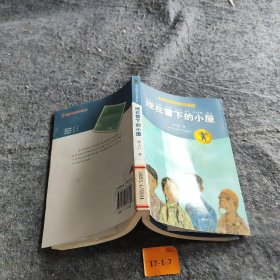曹文轩纯美小说拼音版：埋在雪下的小屋