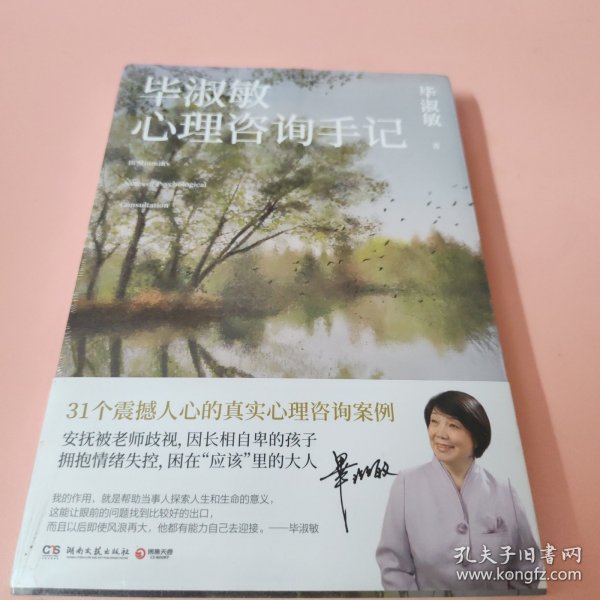 毕淑敏心理咨询手记（知名心理咨询师毕淑敏代表作，31个震撼人心的心理咨询案例）