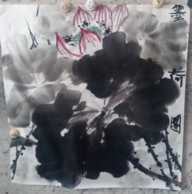墨荷