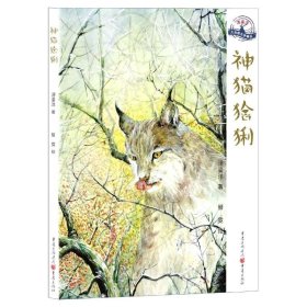 神猫猞猁/浬鎏洋大自然文学精品【正版新书】