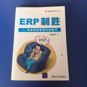 ERP制胜：有效驾驭管理中的数字