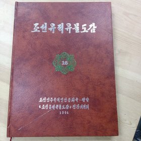 朝鲜遗址遗物图鉴 16 朝鲜文 조선유적유물도감16