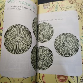 加德纳趣味数学典藏版·第二辑：培养几何直觉的100道趣题