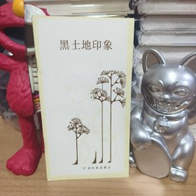 黑土地印象，李逊，老版本