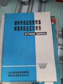 德州市农业自然资源调查和农业区划报告 （16开本）；8—8—1