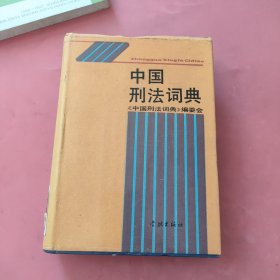 中国刑法词典