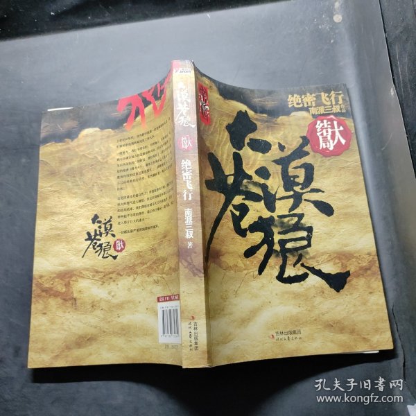 大漠苍狼：绝密飞行