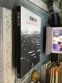 俯瞰世界：航拍攝影師眼中的地球之美 精裝