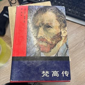 梵高传：对生活的渴求