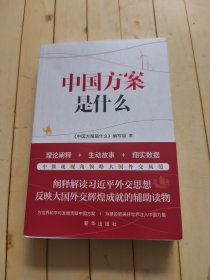 中国方案是什么
