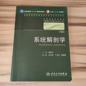 系统解剖学