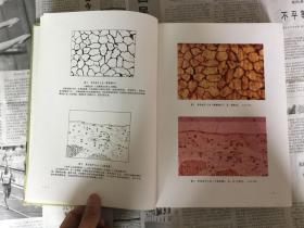 兽医类书籍：彩色家畜组织学图谱，16开，