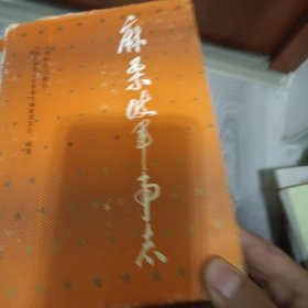 麻栗坡军事志