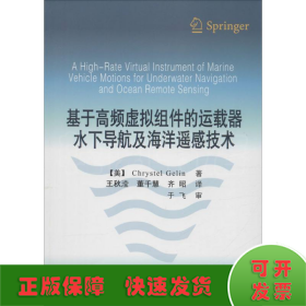 基于高频虚拟组件的运载器水下导航及海洋遥感技术