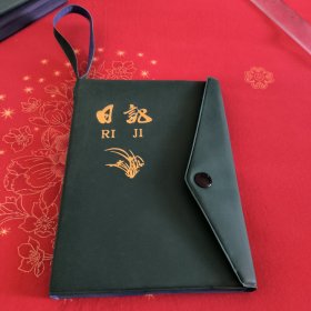 绿色日记本