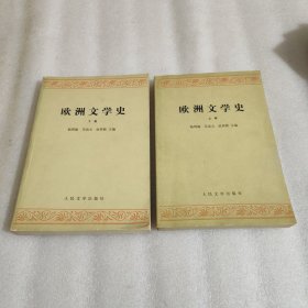 欧洲文学史 上下，品好