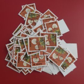 澳大利亚邮票1975年花卉蜡菊，信销随机发2
