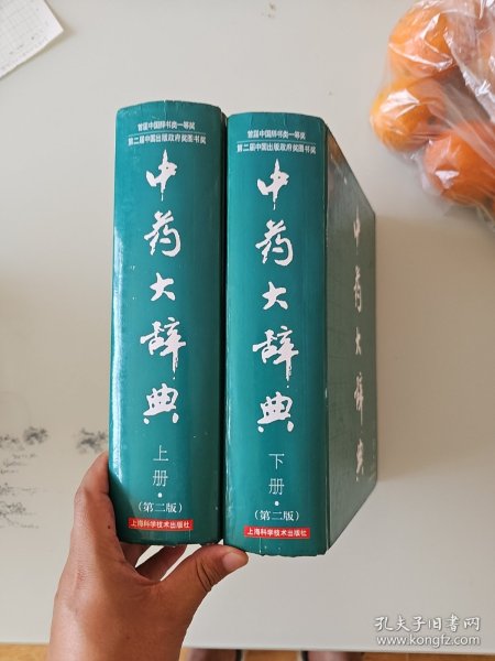 中药大辞典（全2册）