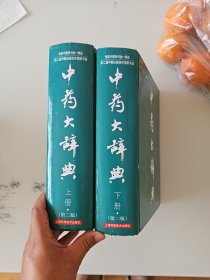 中药大辞典（全2册）